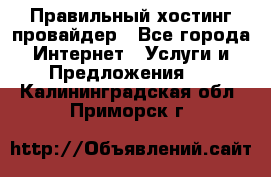 Правильный хостинг провайдер - Все города Интернет » Услуги и Предложения   . Калининградская обл.,Приморск г.